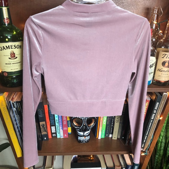 SOLD Forever 21 Crop Velvet Top rn 94981 ca 40198 - Picture 4 of 4